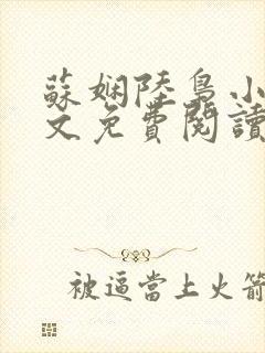 苏娴陆枭小说全文免费阅读无弹窗