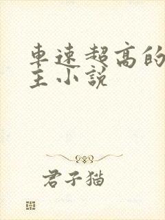 车速超高的双男主小说