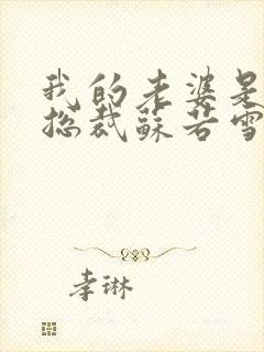 我的老婆是冰山总裁苏若雪沈浪