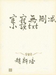 宦宠无删减原著小说txt