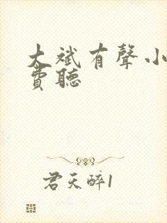 大斌有声小说免费听