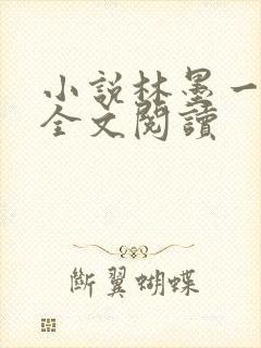 小说林墨一等功全文阅读