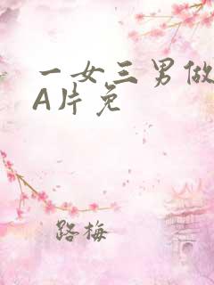 一女三男做2爱A片免