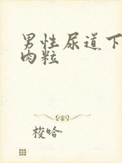 男性尿道下长小肉粒