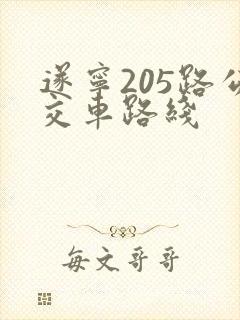 遂宁205路公交车路线