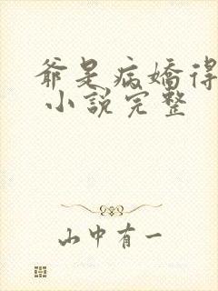 爷是病娇得宠着 小说完整