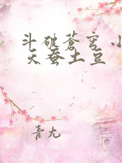 斗破苍穹 小说 天蚕土豆