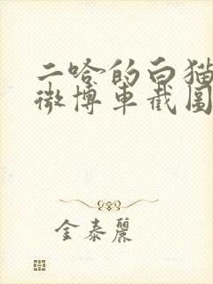 二哈的白猫师尊微博车截图