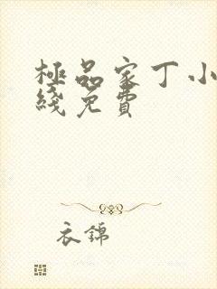 极品家丁小说在线免费