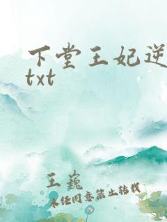 下堂王妃逆袭记txt