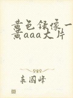 黄色录像一级特黄aaa大片