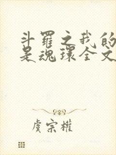 斗罗之我的武魂是魂环全文