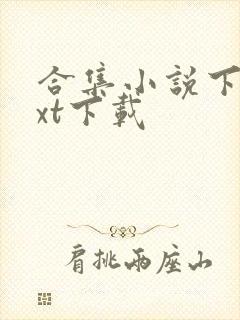 合集小说下载txt下载