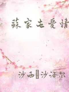 苏家屯爱情故事