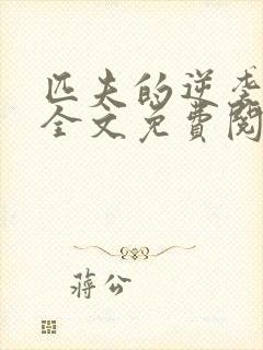 匹夫的逆袭小说全文免费阅读全文