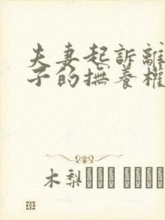 夫妻起诉离婚孩子的抚养权怎么争取