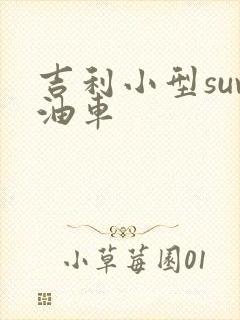 吉利小型suv油车