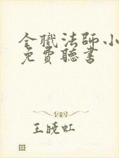 全职法师小说 免费听书