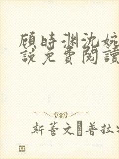 顾时渊沈婉婷小说免费阅读最新章节