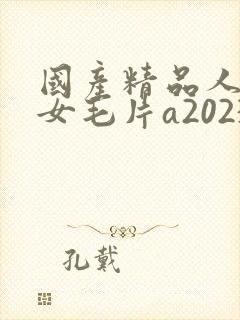 国产精品人妻熟女毛片a2023