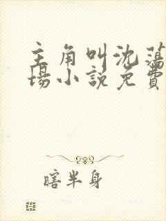 主角叫沈荡的官场小说免费阅读