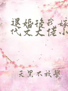 退婚后我嫁给年代文大佬小说