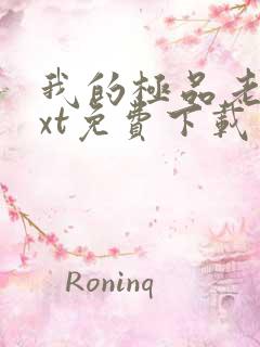 我的极品老婆txt免费下载