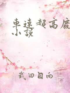 车速超高废文的小说