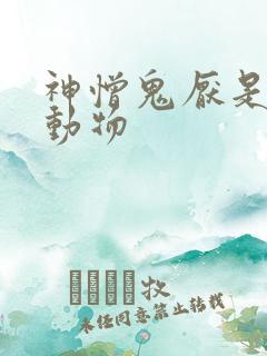 神憎鬼厌是什么动物