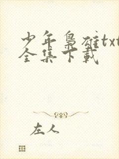 少年枭雄txt全集下载