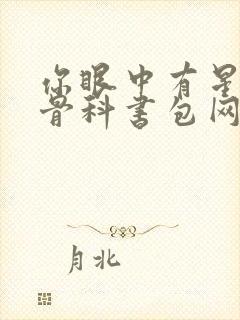 你眼中有星辰h骨科书包网