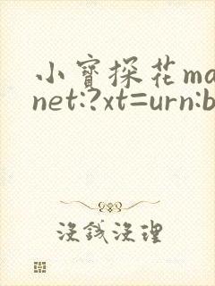 小宝探花magnet:?xt=urn:btih