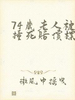 74岁老人被车撞死赔偿标准