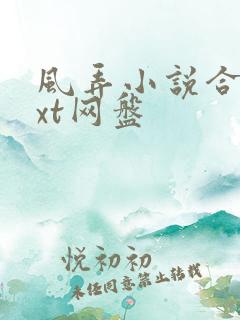 风弄小说合集txt网盘