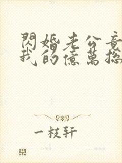 闪婚老公竟然是我的亿万总裁小说