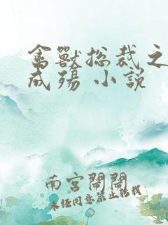 禽兽总裁之虐爱成殇 小说