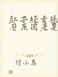 肚子经常胀气什么原因老是放屁