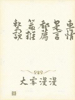 整篇都是车的小说推荐言情古言