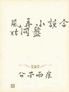 风弄小说合集txt网盘