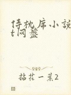 侍枕席小说txt网盘