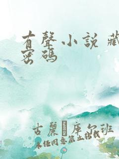 有声小说 藏地密码