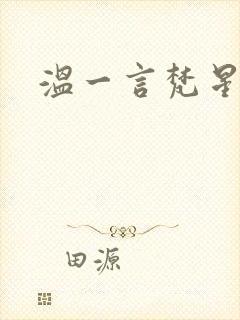温一言梵星小说