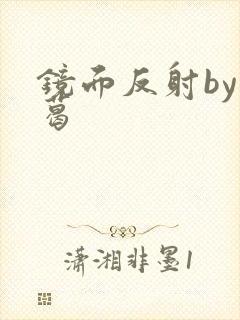 镜面反射by九葛