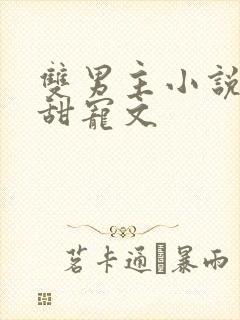 双男主小说推荐甜宠文