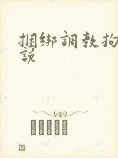 捆绑调教拘束小说