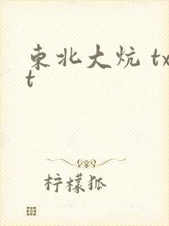 东北大炕 txt