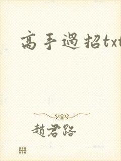 高手过招txt