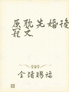 原耽先婚后爱甜宠文