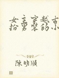 女主穿越古代女扮男装的小说