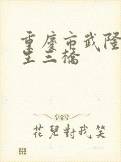 重庆市武隆县天生三桥